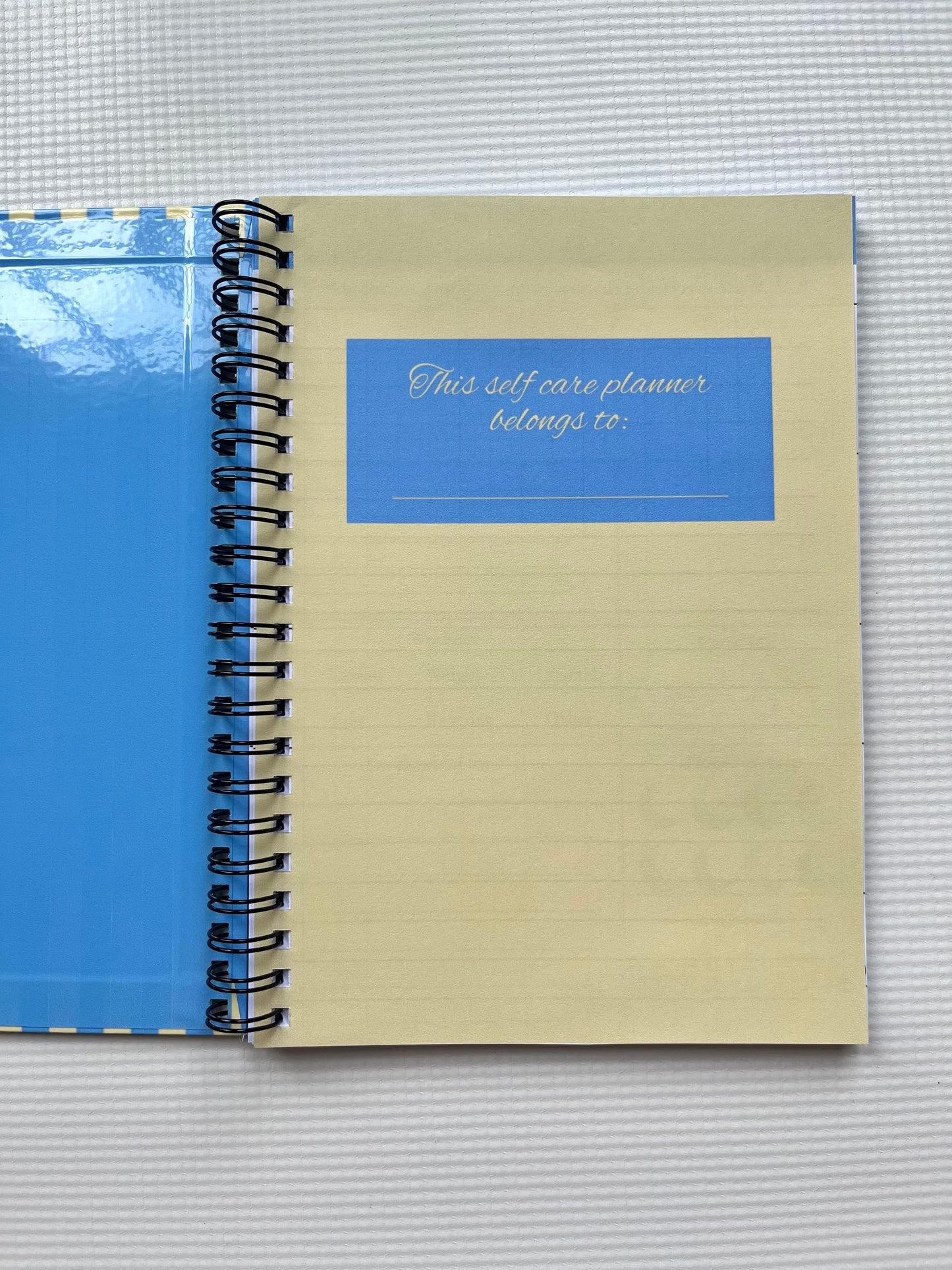 Hot girls prioritize self care journal