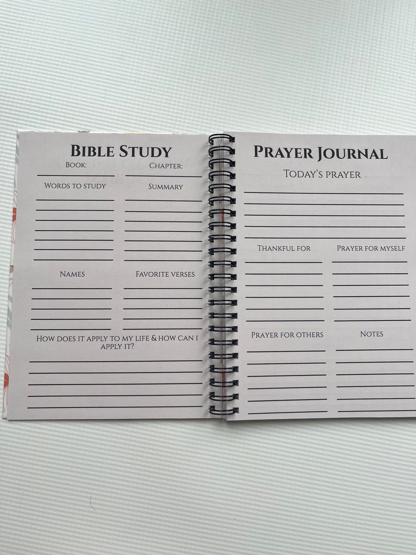 Bible journal